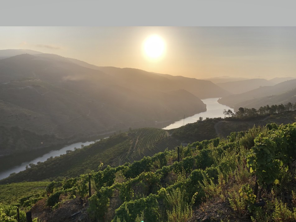 Prova de Vinhos / Taste our wine